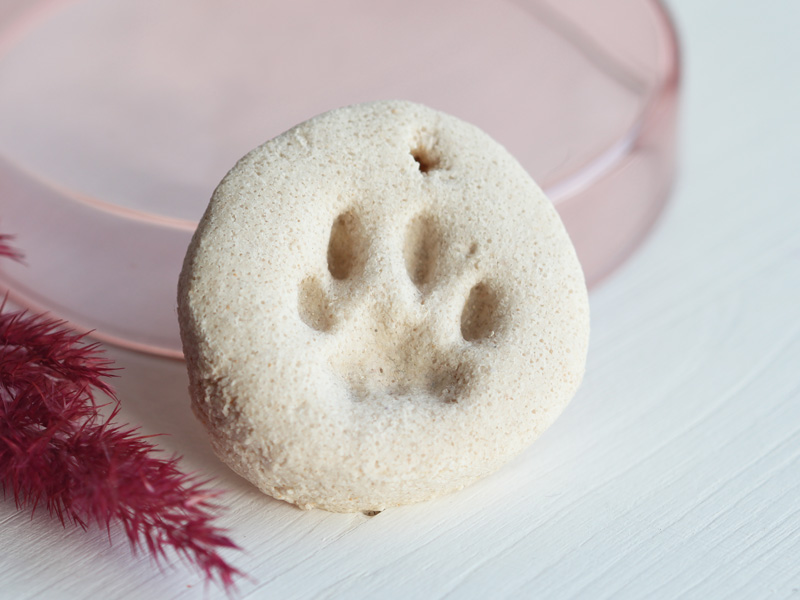 Pfotenabdruck Katze, Katzenpfote in Salzteig
