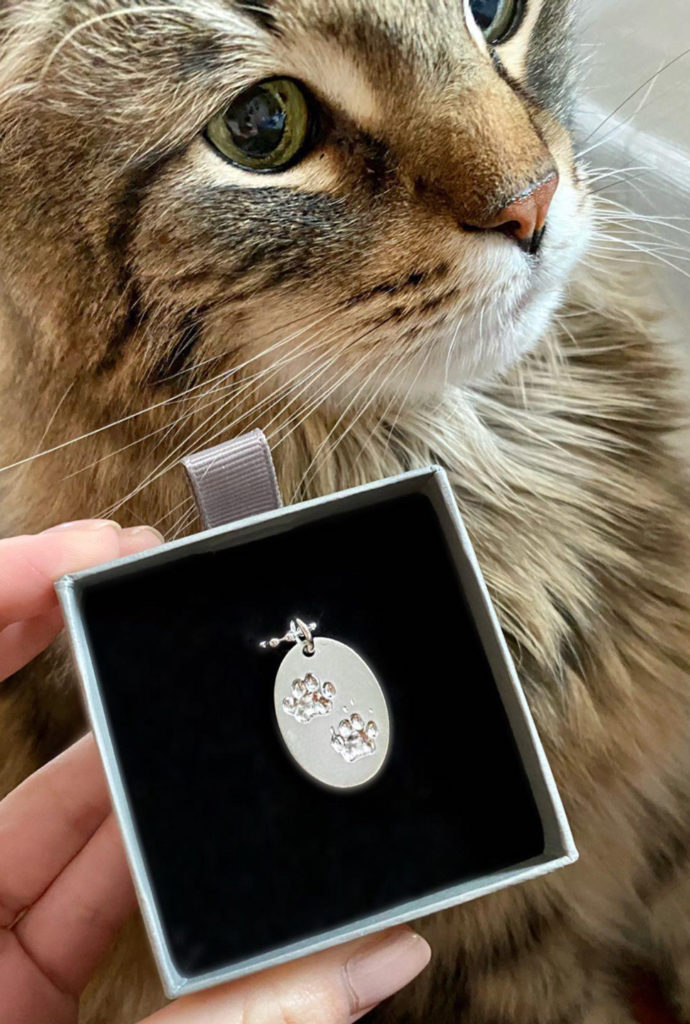 Echte Katzenpfote als Kettenanhänger