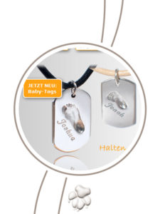 Zeitstrahl_2012