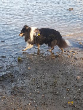Nelson am Wasser