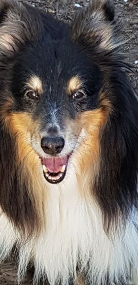 Nelson Portrait