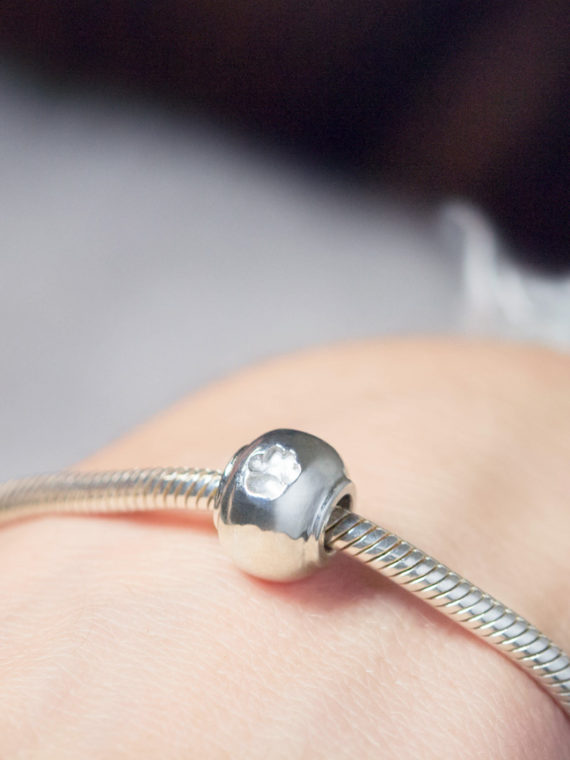 Echte Hundepfote als Charm