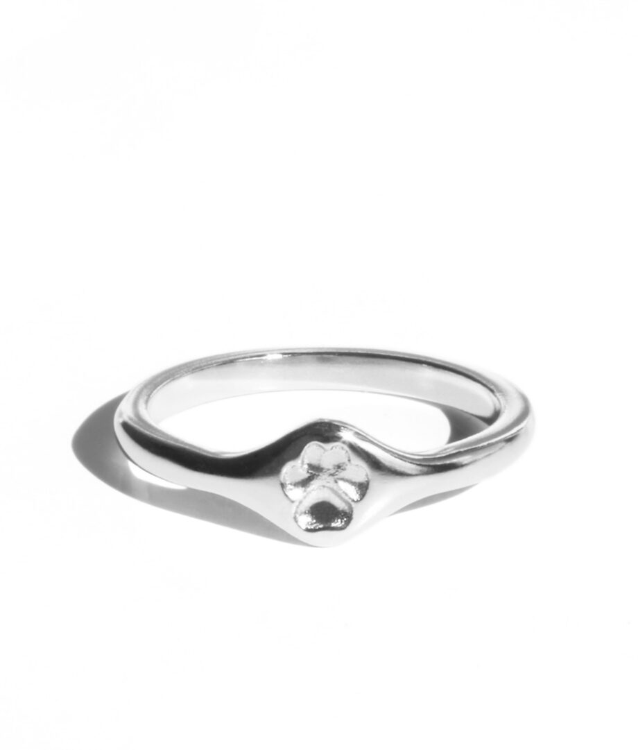 Schmaler Ring 3D Hundepfote Andenken