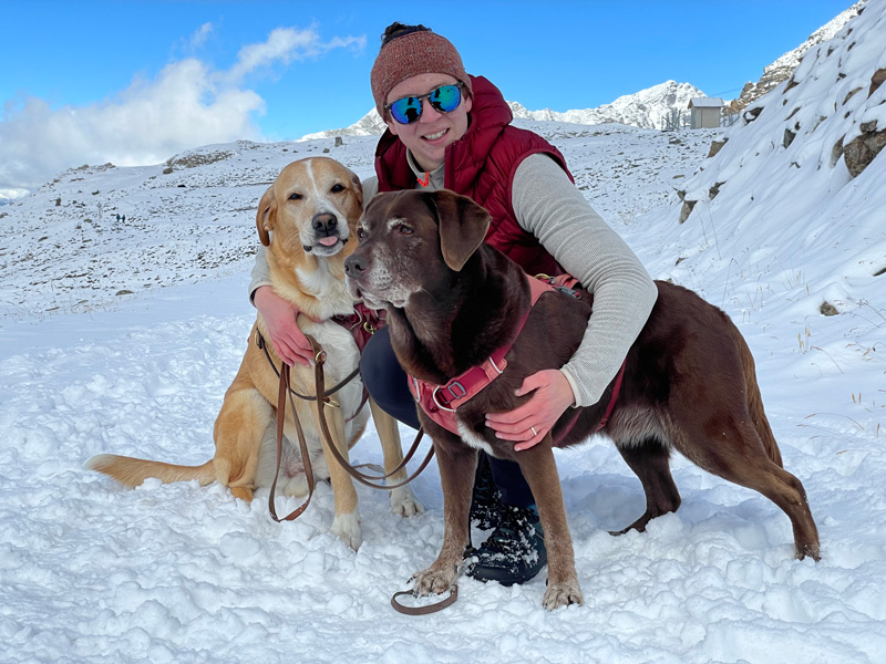 Schnee Berge wandern mit Hunden